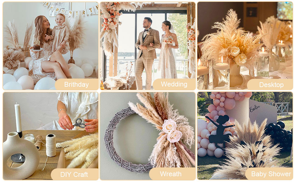 Pampas Grass in Weddings: Decor Ideas for Bouquets, Centerpieces, and Arches