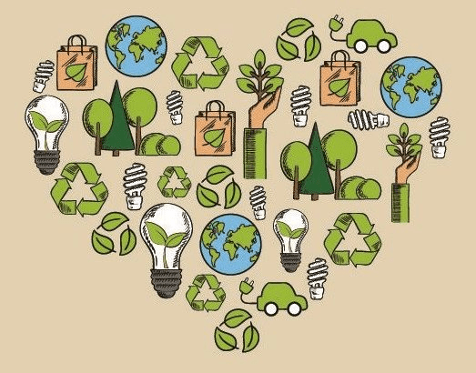 eco-friendly brands products